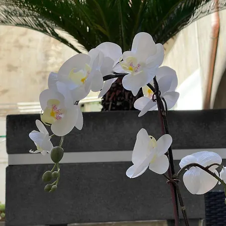 Apartament Residenza Spinelli